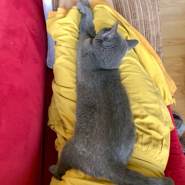 Eb99ce0f acbd 4d76 98e2 9185640f2ec2 1632975619645