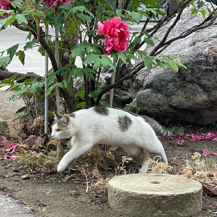 Eb99d17e eaa9 4579 87c7 533fec365c17 1650974107381