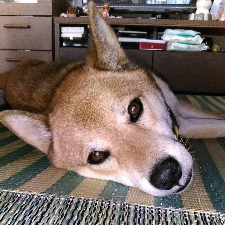 Eb99dcfc 9757 4944 8602 0a57b2b4c120 1568695883235