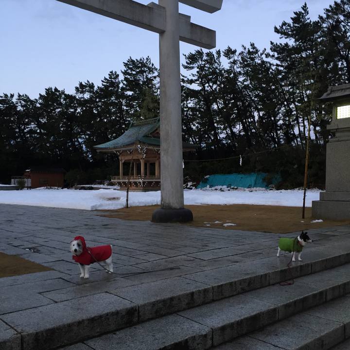 Eb9a29ba 26b4 439a 9fa2 c48967dc5349 1516247083586