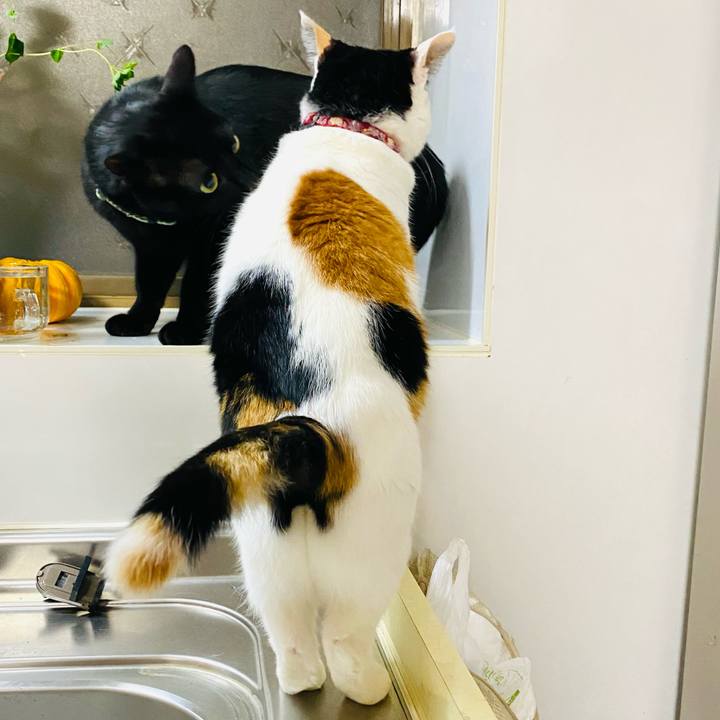 Eb9a2b62 6669 4ee7 82a3 f6920ca19896 1673960182517