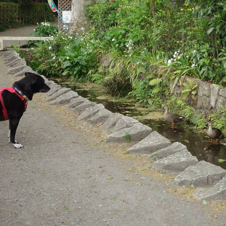 Eb9a3962 3655 4b61 a76c 3e1415be56b4 1680830127060