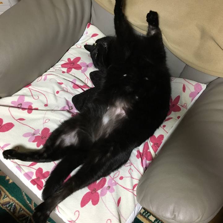 Eb9a9e1e b392 4418 83df 50a877c880cb 1546915105270