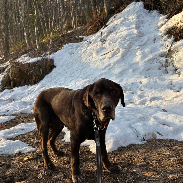 Eb9aa287 6f73 40ca 940f 19cc00baa2dc 1774183599099