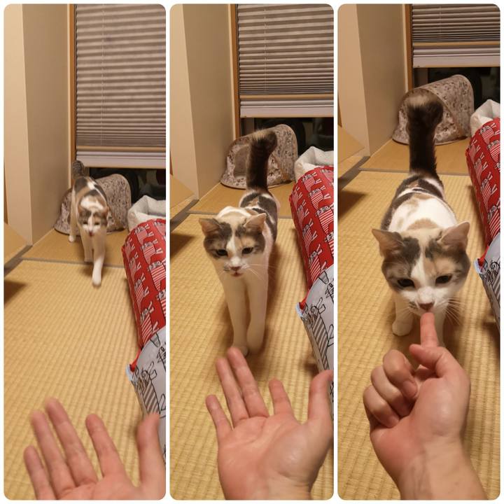 Eb9ad92f 875f 4375 95c8 54ab1937aabe 1569677699463