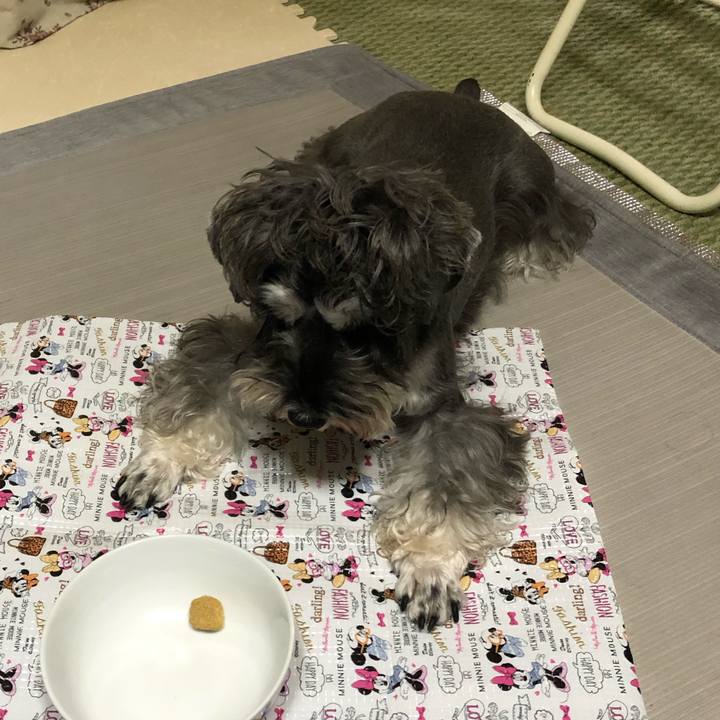 Eb9b386b 1afc 4d80 8f87 af4d9acb1129 1573469994589