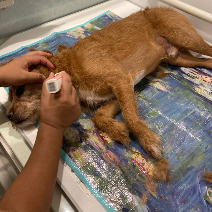 Eb9b59a8 0926 4d33 a166 56313978730f 1658991834092