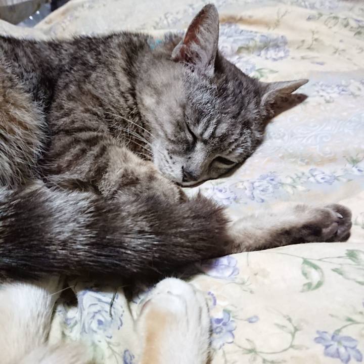 Eb9b6eed 1f56 4311 b7b3 efd70065c7ed 1562765796411