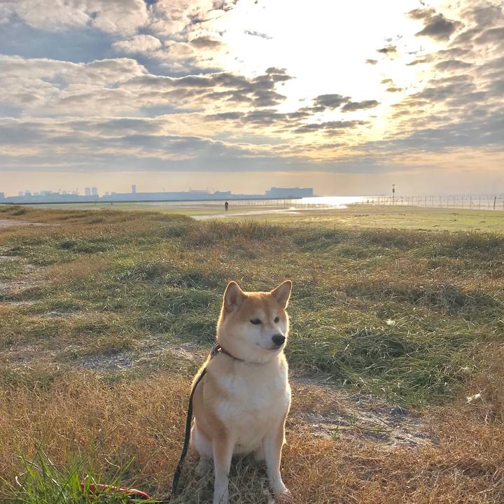 Eb9b930b f642 4c10 9516 3ee9e4e6e41a 1544935705039