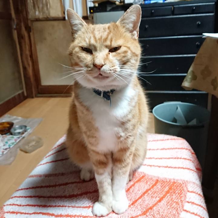 Eb9ba709 2e32 4970 968f f32f8b5efd90 1607200763697