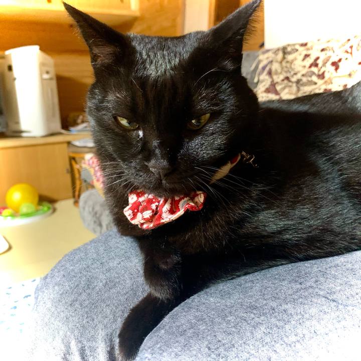 Eb9bcb30 f446 45b7 9cd8 85bd170c8a03 1619012875064