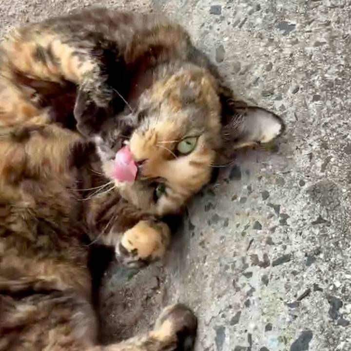 Eb9c02be 1bd6 4f70 99f5 5cd48b2f5596 1773494785202