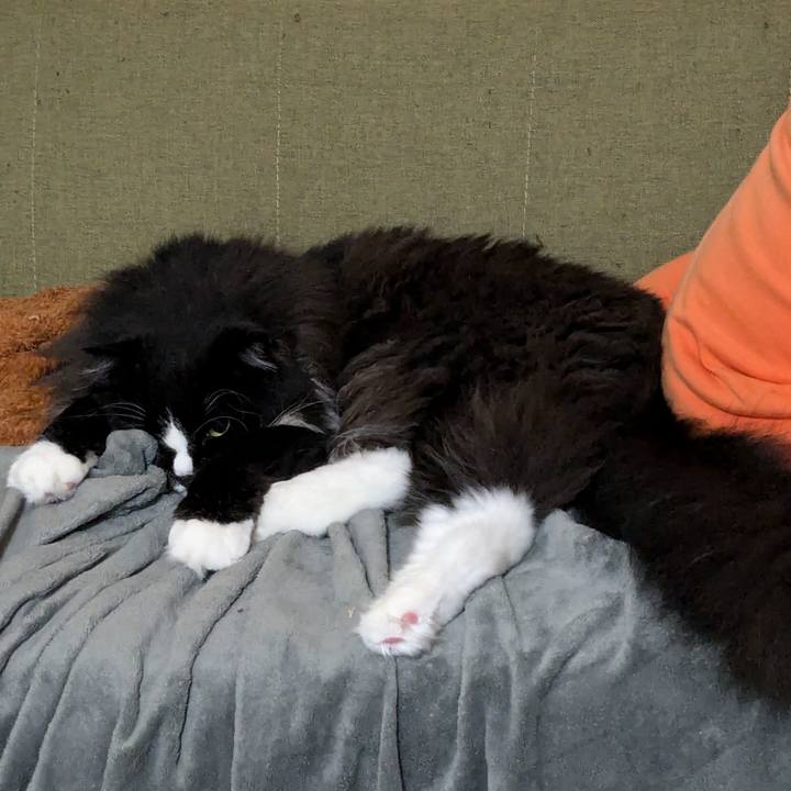 Eb9c2a53 472f 4c78 8781 50aabf6ca335 1722458262280