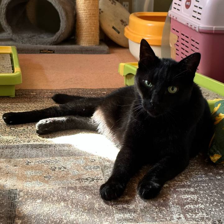 Eb9c4f2c 3f81 48d2 b40d d727b4495da5 1665887348547