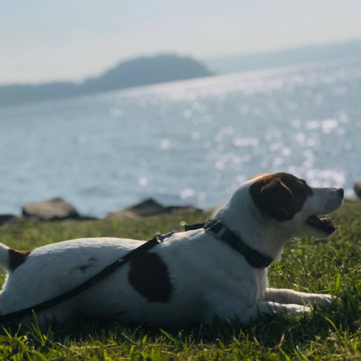 Eb9c55f9 d727 4702 8ffe b8b027b2cf76 1558002053457