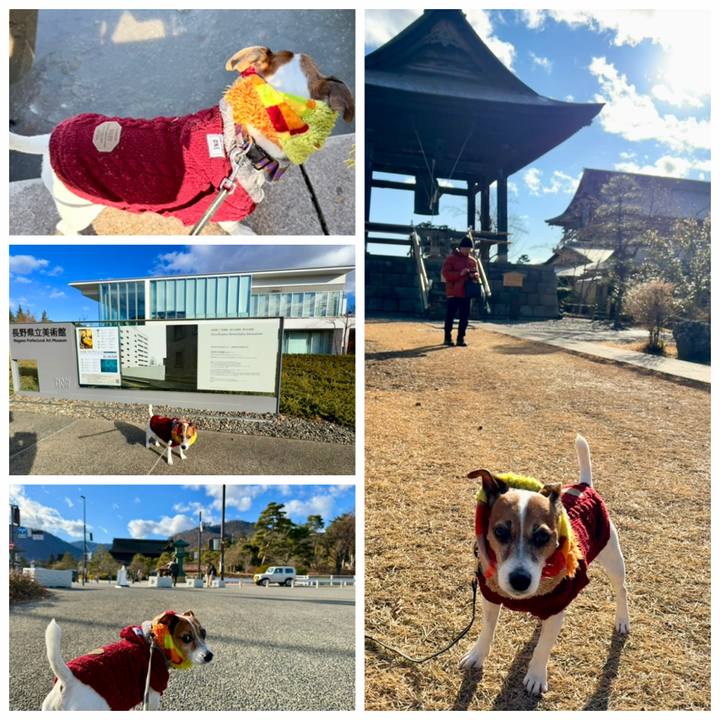 Eb9c9b2c 17a7 4749 89de 0e85c98aecee 1767718256122