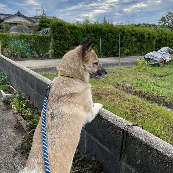 Eb9cc6f5 d390 4ab5 ae76 9760125ec8bc 1663765673597