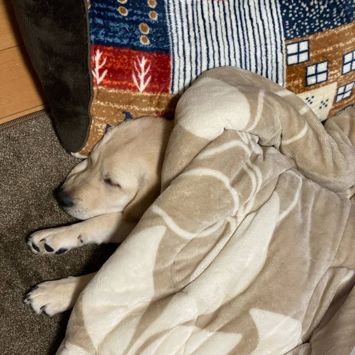 Eb9cc752 5441 4f82 aa74 8005382e0de8 1615725864751