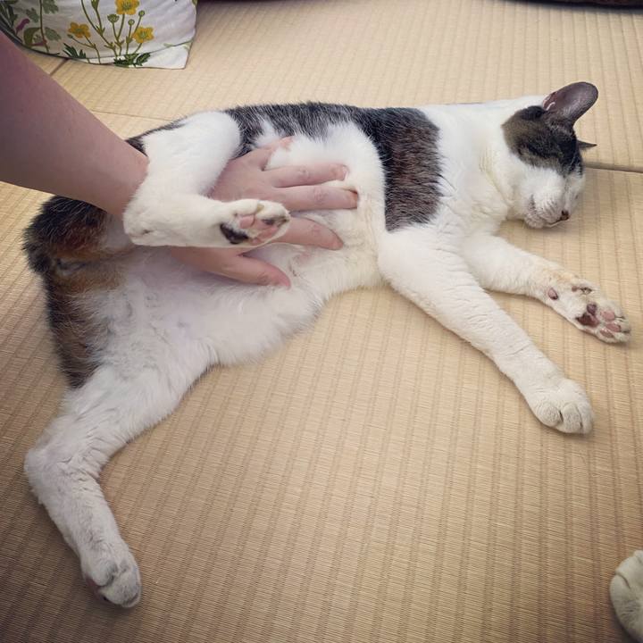 Eb9cc922 48b4 49de 9295 6c5f459e8966 1629345586492