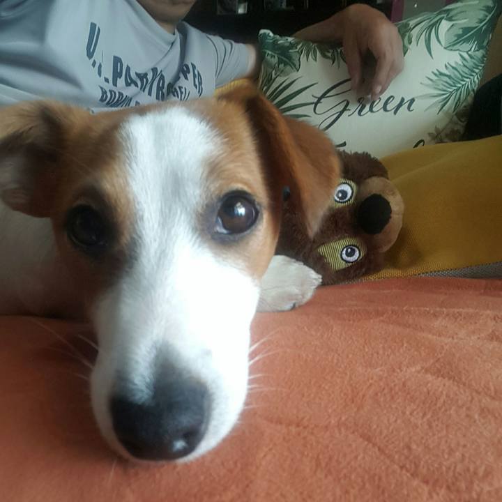 Eb9d5733 f162 40b7 b38a def80385d93e 1557811927753