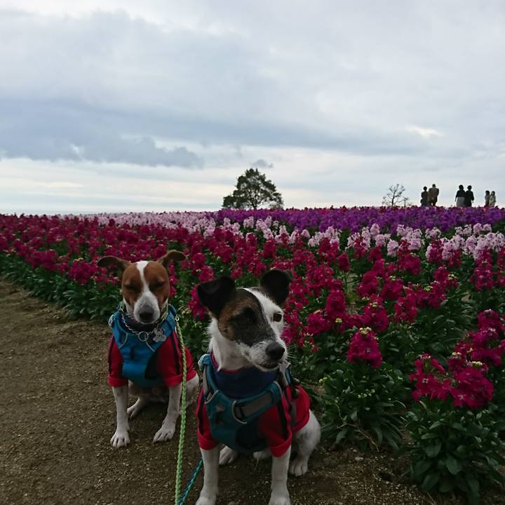 Eb9d6010 61ed 4736 ae7c ef69e7abae81 1605848787360