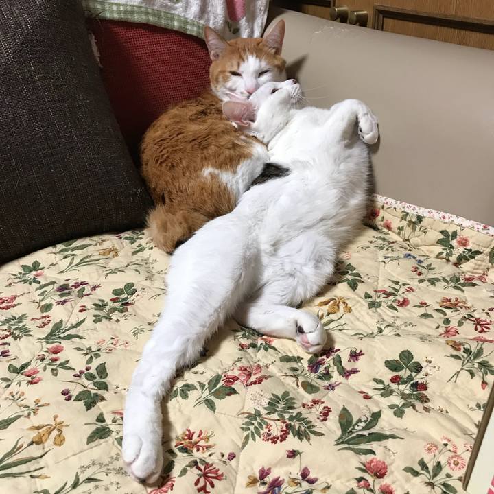 Eb9d84d6 3654 4dce 89c1 00dabeba8e89 1519039632543