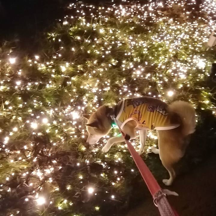 Eb9d978b 5ee7 4c19 88d5 07f4092bcd96 1635156102397