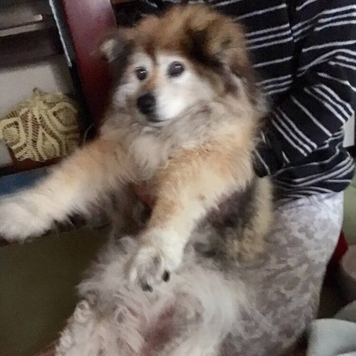 Eb9d9cb5 f2f8 4814 a55e cd7b1d3b152a 1555285348297