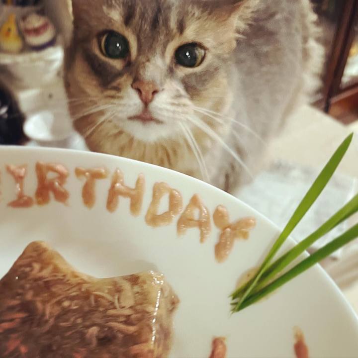 Eb9db56f b8df 42ff 9cc6 cfedde7d052f 1653748392816