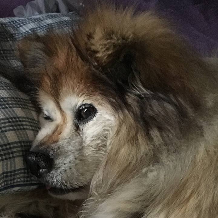 Eb9dbd20 81d5 487e a980 36118320c6dd 1579509717493