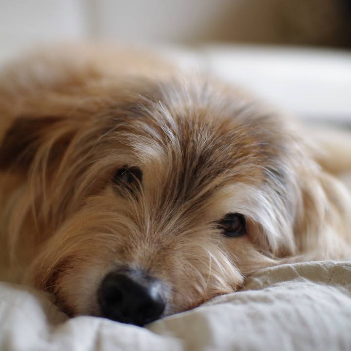 Eb9dcb9e 43bd 4683 9305 9c3f6c12bd56 1666823180036