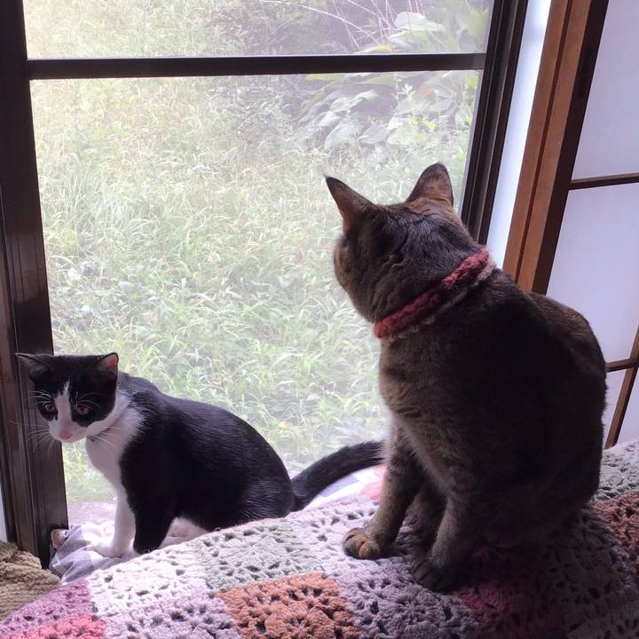 Eb9e11c7 b5b5 4cc6 b465 e4065df3a24d 1632277827705