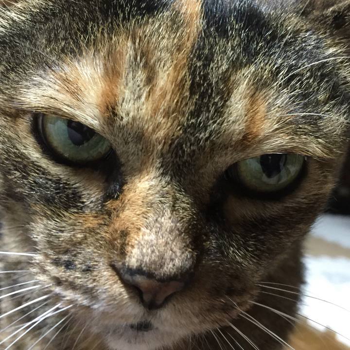 Eb9e3025 76f2 49e3 ab8c c4b8e67aab61 1529727032625