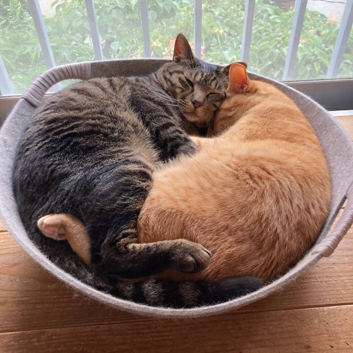 Eb9e3c35 0ebc 4817 8737 c0a2a5ae56b7 1686320702315