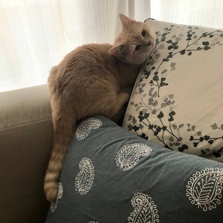 Eb9ea0c1 fd7a 4330 a851 b8f61ac5dac6 1518734027567