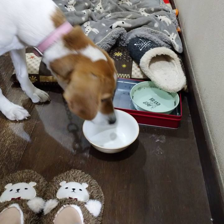 Eb9eb836 6688 483b 82de 3e96e4fab92e 1580820359554