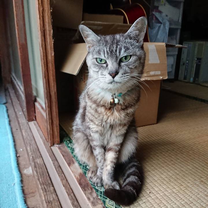 Eb9edbb0 f944 49da 85b9 80e5a6c3e347 1567026239477