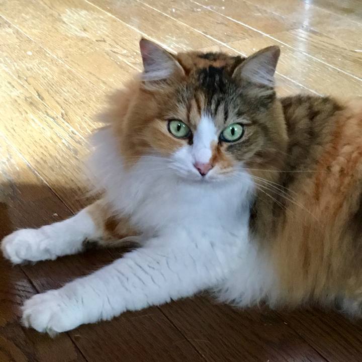 Eb9f1d7a aa78 4051 b06f a736e9dad8bf 1566617581360