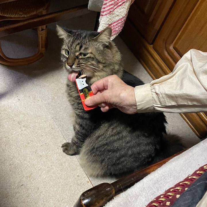 Eb9f2995 cfda 4cbb b0c1 524d107269ae 1728360419411