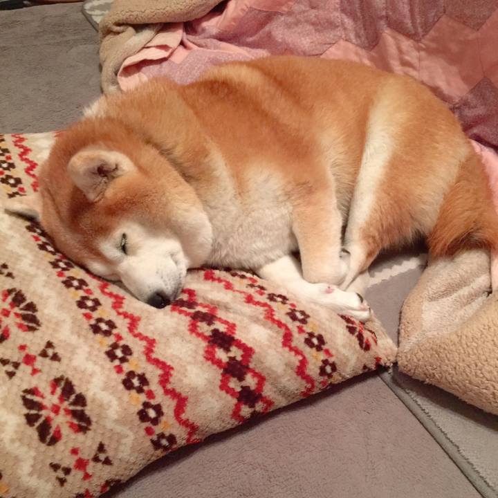 Eb9f33ee 9421 4793 a7d6 e154fdf9c5a8 1556454955892