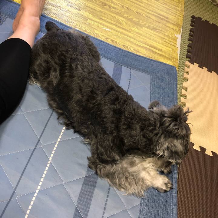 Eb9f4601 662b 45d1 873f 552313dc5022 1691187643965