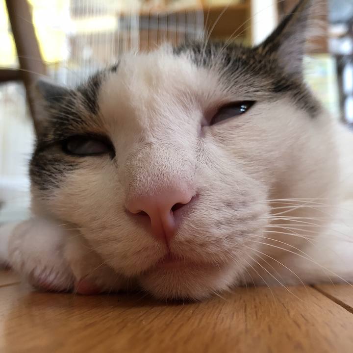 Eb9f50f7 1077 4a13 97fc ca26df23ffbe 1596925548581