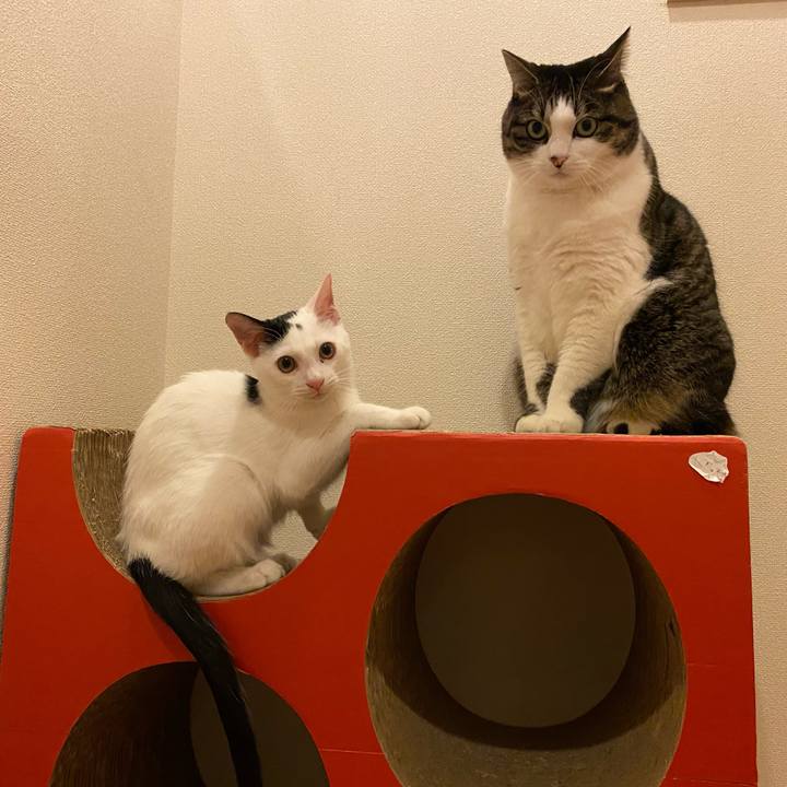 Eb9f5ead c39b 4d7f 8d70 c179f5093527 1667049072776