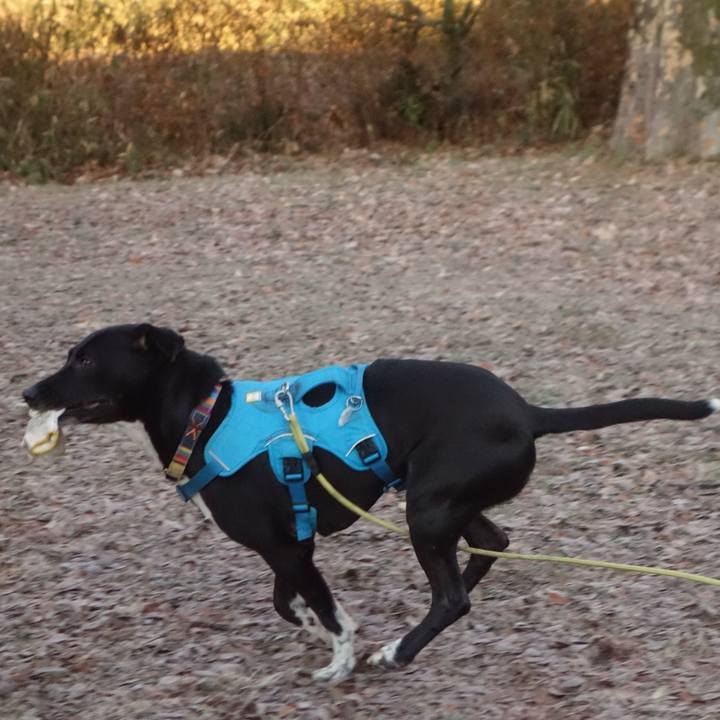 Eb9f7448 2e78 427b 9794 29836382e6e2 1610495772118