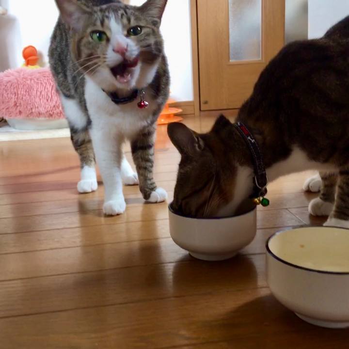 Eb9f8224 3701 4122 b715 dd9a2185777f 1688081349649