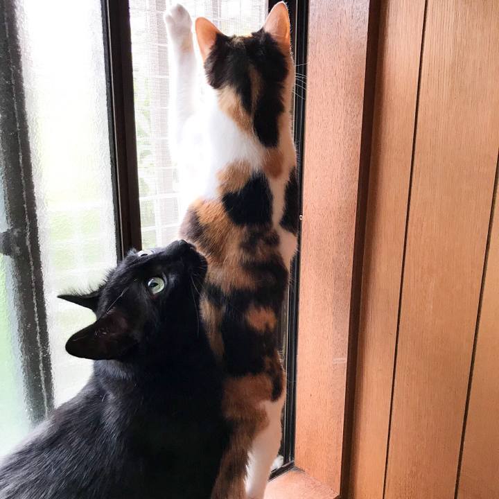 Eb9f83d4 928a 4980 bec6 6f282fdb28c1 1529030738470