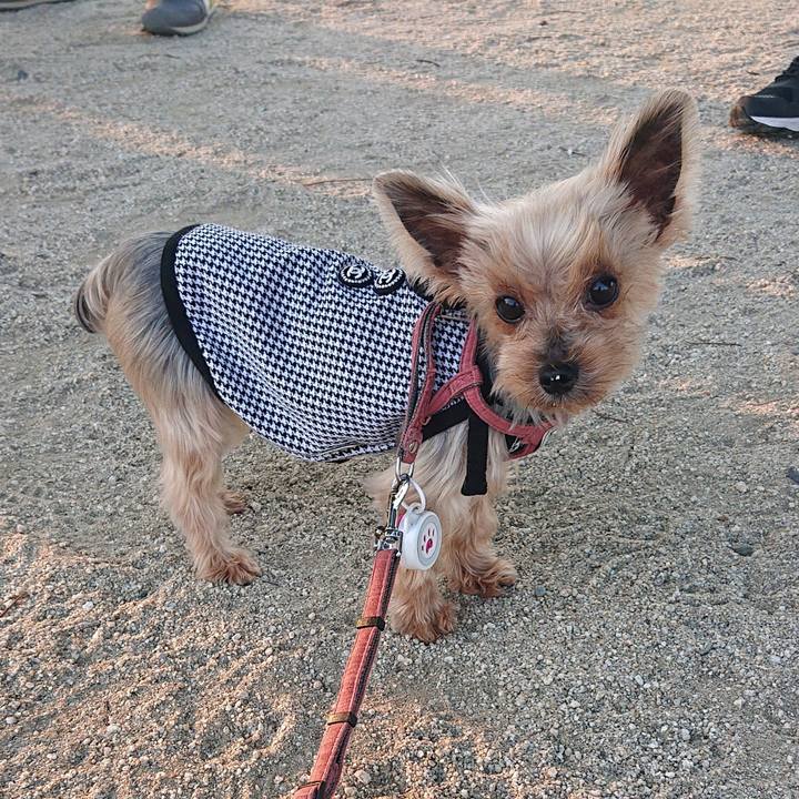 Eb9fb8f5 f546 4bbe 83c3 49ac1952ded6 1591344050878