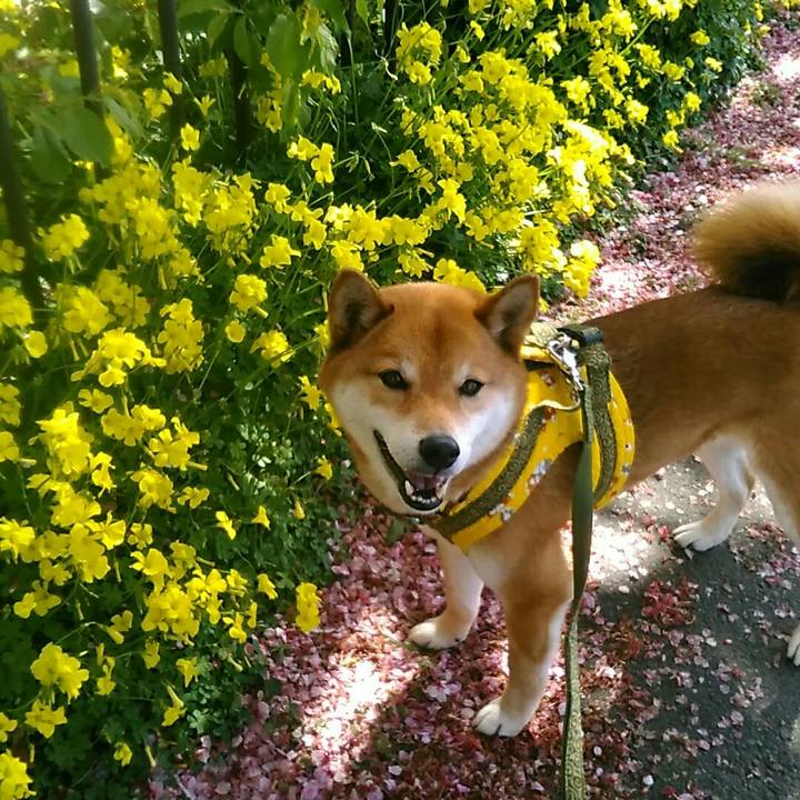 Eba02b65 1033 448b 9a2b 9ef7b6cfa056 1552127424415