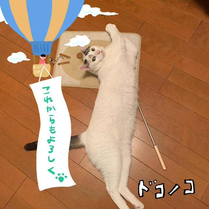 Eba033c1 d4d8 446f a42e 510cc813ceaa 1686010530656