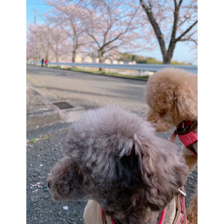 Eba03d1b d238 42be 80cf c70e1ea237f0 1617178301928